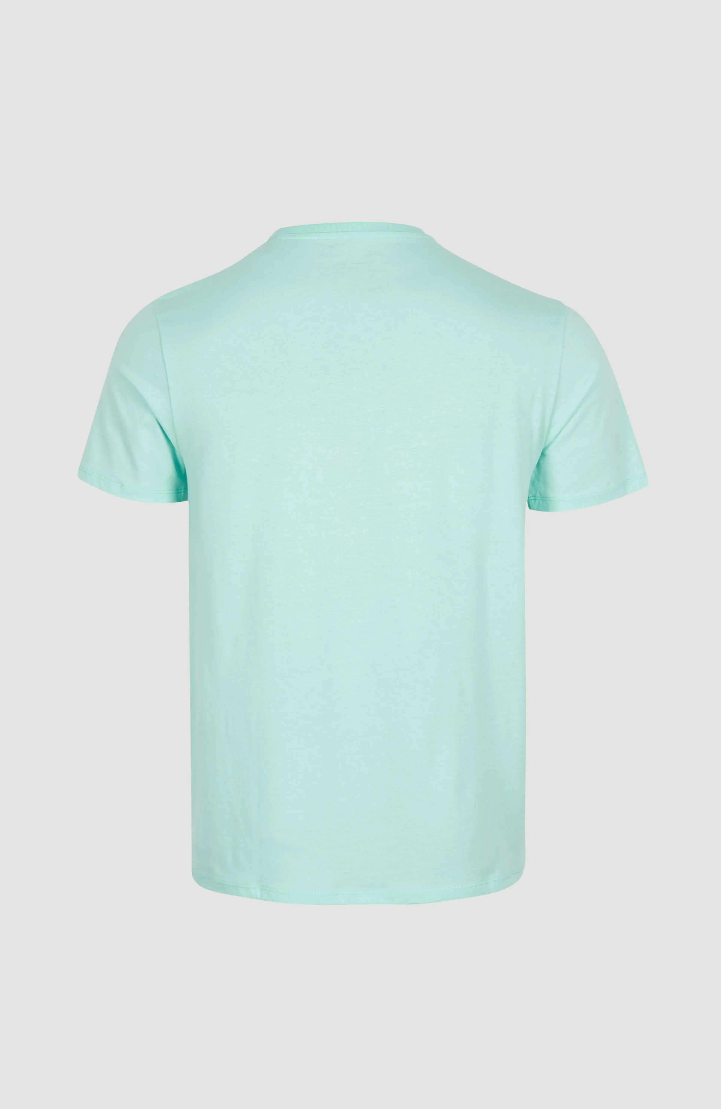 Arrowhead T-Shirt | Beach Glass