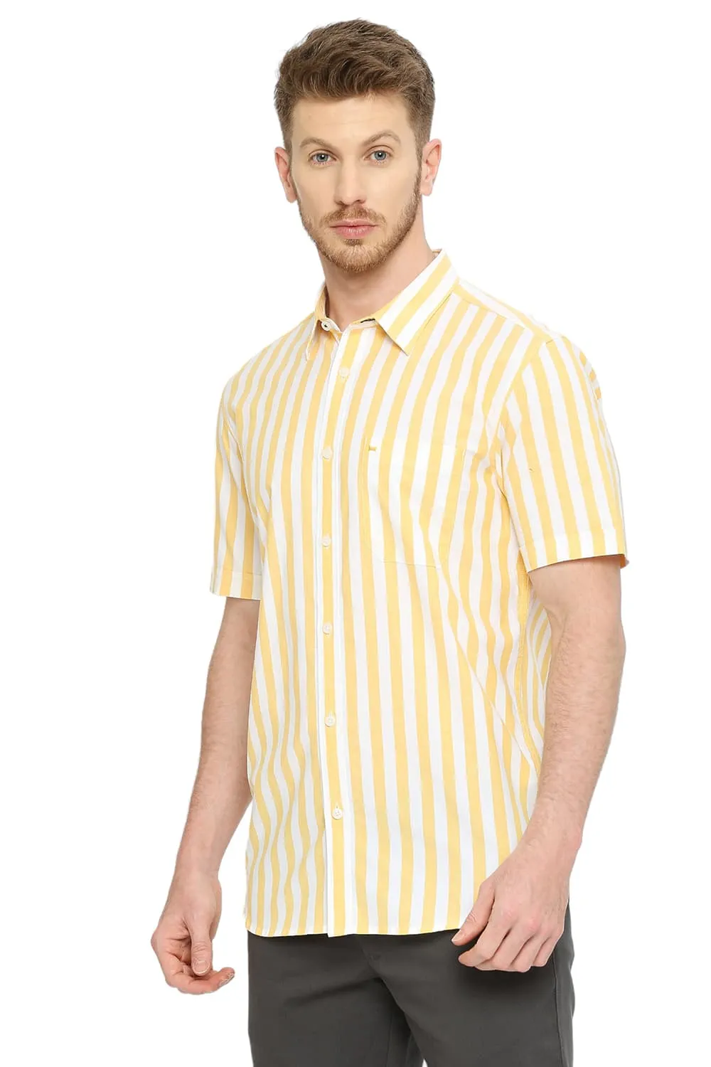 Slim Fit Cotton Oxford Stripes Halfsleeves Shirt